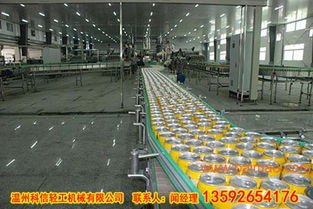 专注品质，智造未来 探索椰汁饮料成套生产线与PET椰汁全自动灌装机的卓越价值